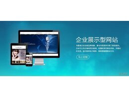 網(wǎng)站建設(shè)企業(yè)建站類型