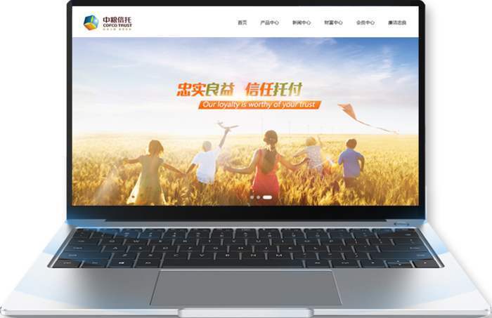 pc+手機網(wǎng)站建設
